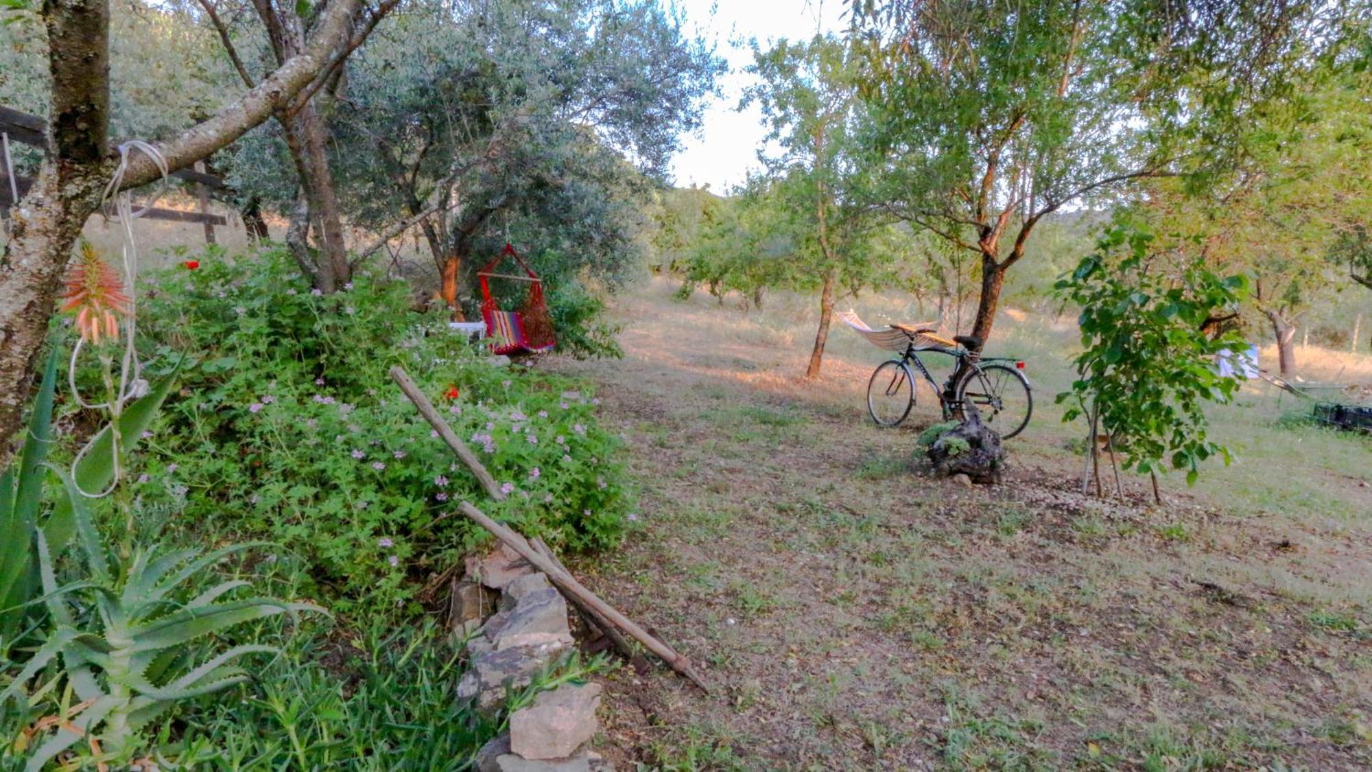 Villa Ferulas Oliena Buitenkant foto